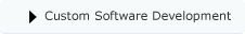 Custom Software Development