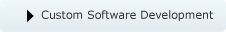 Custom Software Development