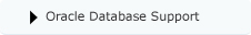 Oracle database support