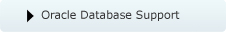 Oracle database support